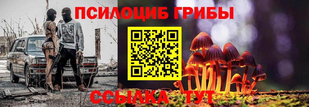 Галлюциногенные грибы Cubensis  Вход с VPN  Куйбышев 